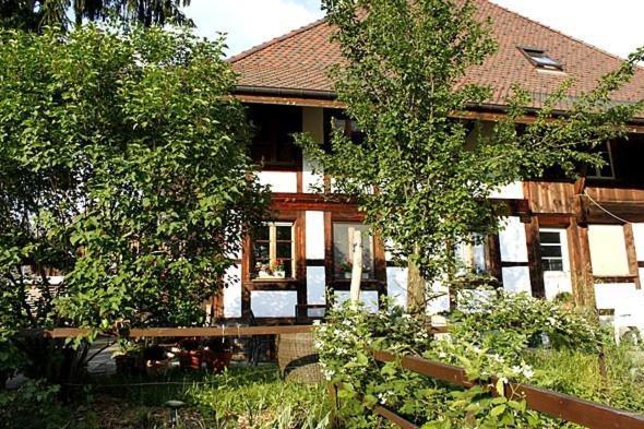 Apartments Saba & Jona Uetendorf Dış mekan fotoğraf